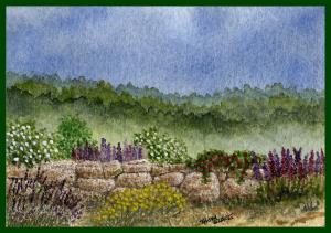 Thom Glace -Featured Watercolor Artist For December